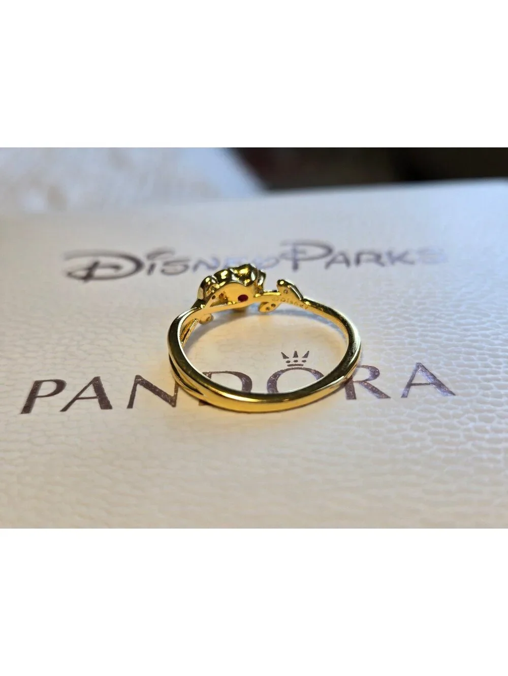 PANDORA new bag